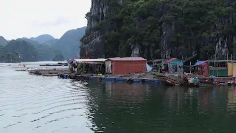 Học tiếng Anh Ngành du lịch Việt Nam